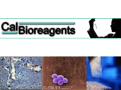 CalBioreagents