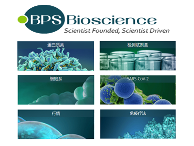 BPS Bioscience代理，BPS Bioscience上海代理，BPS Bioscience北京代理，BPS Bioscience 总代理，BPS Bioscience一级代理，BPS Bioscience试剂盒，BPS Bioscience kit，BPS Bioscience国内代理无锡四五零科技有限公司(四五零实验试剂)BPS Bioscience专业_代理，具体产品信息欢迎电询：0510-85291432